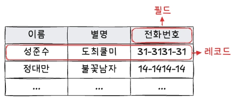 필드와 레코드